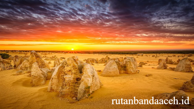 The Pinnacles: Lanskap Batu Kapur Unik di Gurun Nambung
