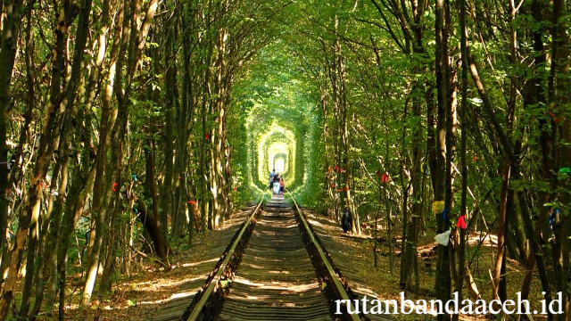 Tunnel of Love: Jalur Hijau Penuh Pesona di Ukraina